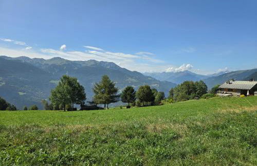 Les Balcons de Valezan - Foto 9