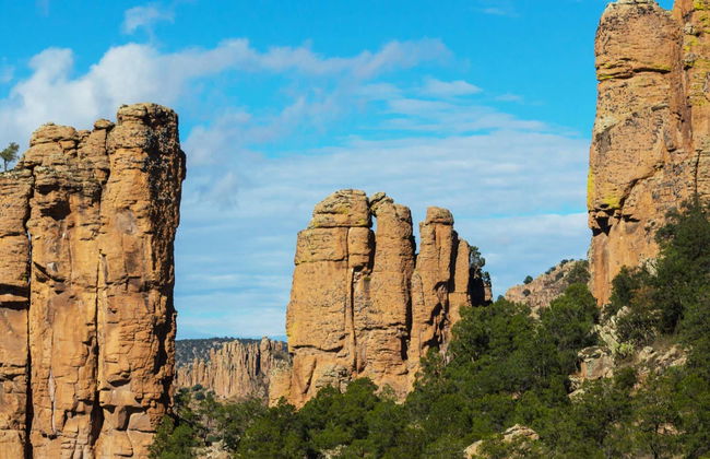 Excursión a la Sierra de Órganos y Nombre de Dios - Foto 3