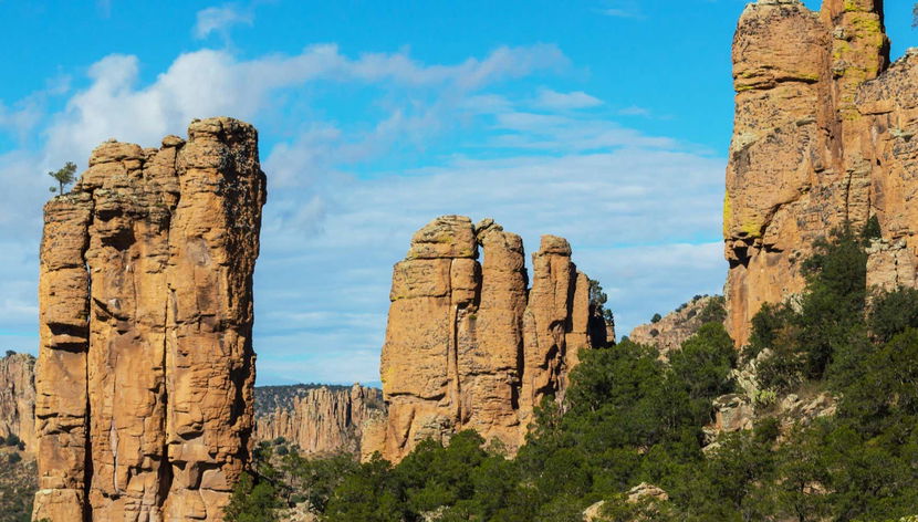 Excursion à la Sierra de Órganos et Nombre de Dios