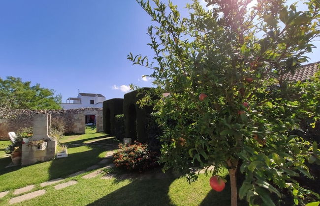 Masseria Costarella - Photo 74