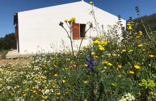 LA PIANA Holiday House - Foto 12