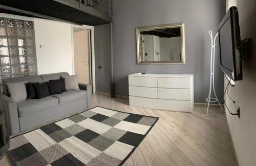 APPARTAMENTO PIERANGELO DI FRONTE MALPENSA T1 e T2 - Foto 1