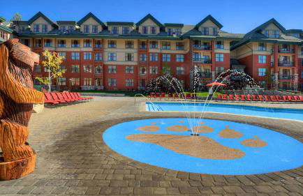 Marriott Timber Lodge 1BR Apartment with Resort Access - Foto 13