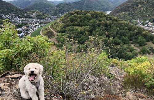 Ferienwohnung Weins - Foto 47