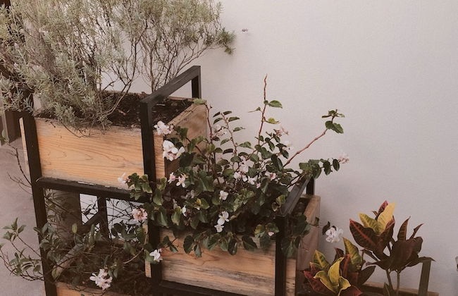 Casa Loera - Foto 44