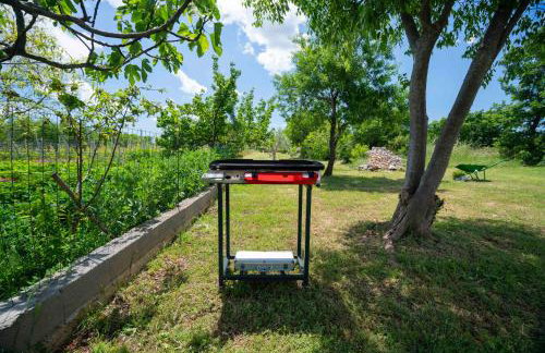 Apartment Martin-nearby Krka National park - Foto 16