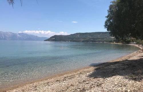 Villa with swimming pool and tennis/basketball court - Foto 56