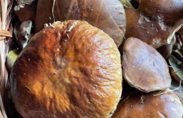 Ferienwohnung 1 Festungsblick - Foto 22