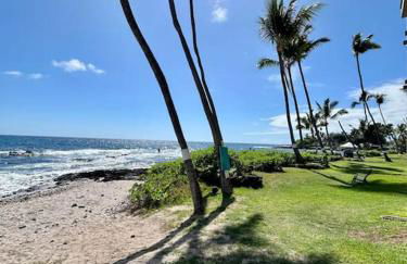 Amazing condo peaks of ocean view On Ali'i Dr by surf spots - Foto 26