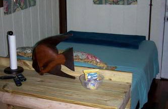 Cozy Tiny House in Tennessee Forest with Loft Beds & Country Breakfast - Foto 2