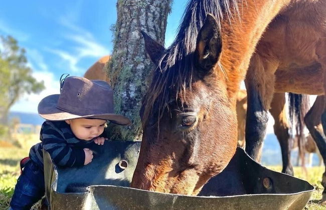 Rancho Sol Poente - Rancho Queimado - Foto 35