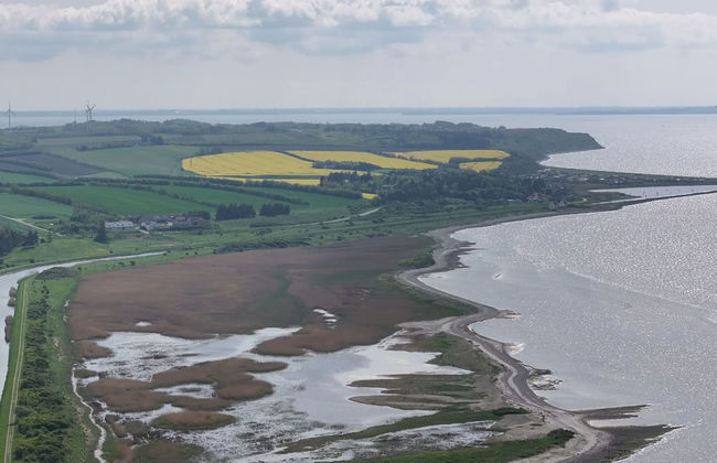 "Aranja" - 300m to the fjord - Photo 14