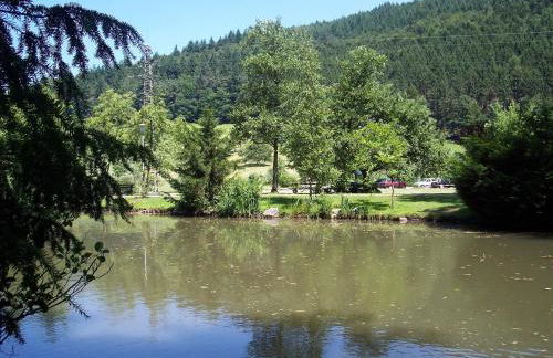 Cheerful Apartment near Historic City Center of Haslach - Foto 76