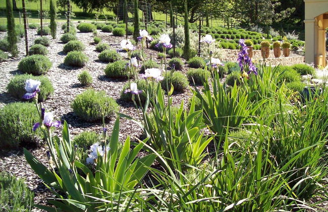 Casa Valeri - Foto 25