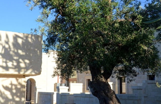 Agriturismo Masseria San Leonardo - Foto 15