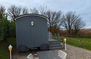 Luxury Countryside Shepherds Hut with Hot Tub - Foto 15