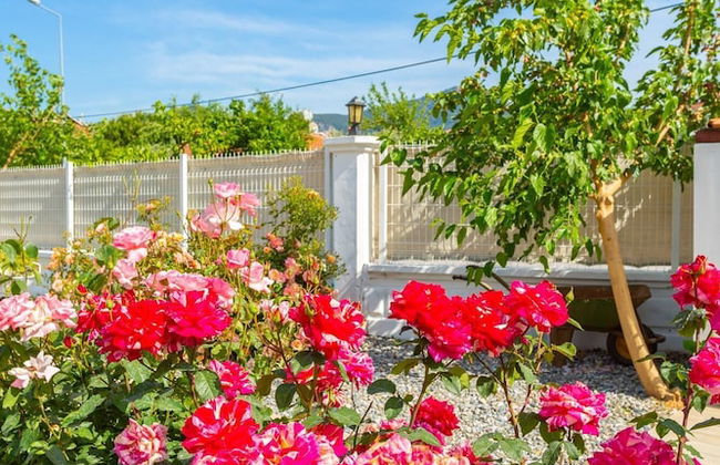 Villa Mina Large Private Pool A C Wifi Car Not Required Eco-friendly - 2834 - Photo 8