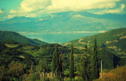 Κτήμα Φτελιά - Foto 18