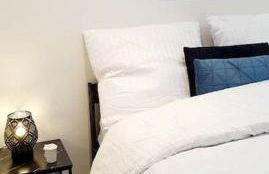 Magnifique Cocon à Lille Lomme - Foto 15