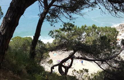 Apartamento Mediterraneo - Photo 41