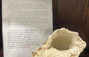 Appartamento La Brogna - Mazara del Vallo Centro - Foto 26