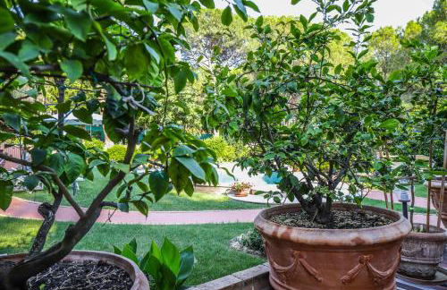 I Limoni Studios - Photo 18