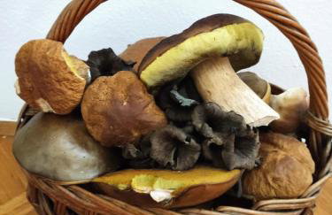 Grandma's apartment - Photo 52