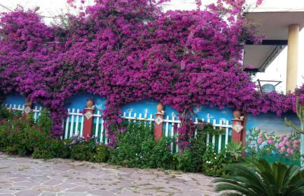 Casa con jardín frente Playa de Burriana - Foto 9