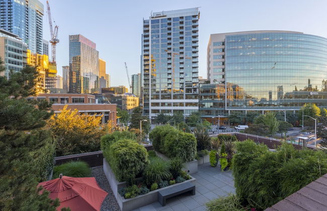 Domicile Suites at Mark on 8th - Photo 74