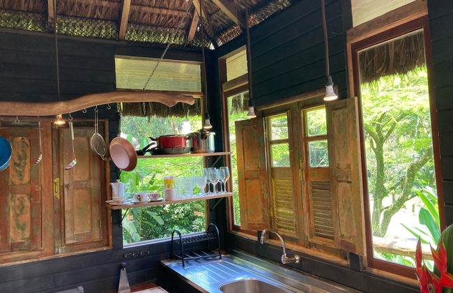 Rainforest Paradise - Foto 8