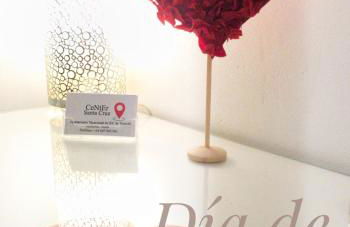 CENTER Santa Cruz, Alojamiento céntrico con gran terraza, cocina , salón y baños, todo privado - Foto 44