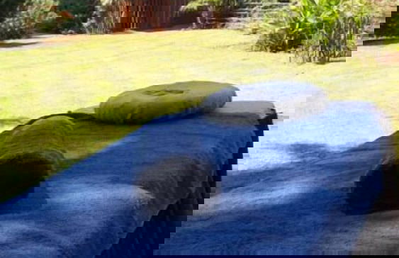 Woodland Gardens - Photo 58