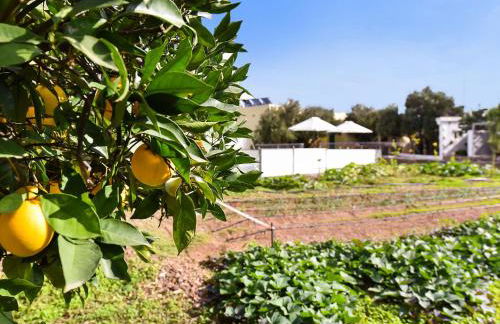 Villa in Ingenio with Private Pool - Foto 22