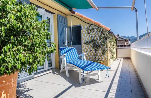 Seagulls, Elegance and Freedom - Foto 28