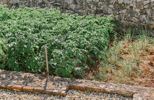 Vila Štala - Foto 48