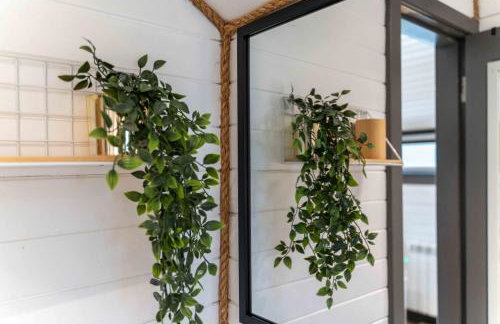 Westwind Pod - Foto 8