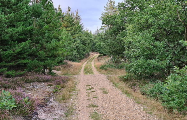 Beachfront Bungalow Bliss - By Traum Ferienwohnungen - Foto 19