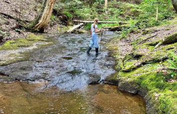 Nature's Nest - Woodland Retreat - Fireplace - Quiet and Cozy - Foto 46