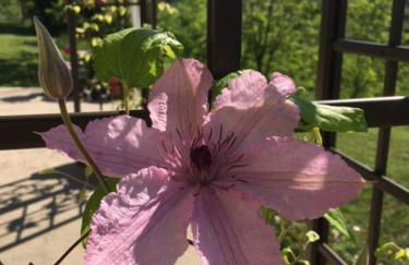 Casa Belfi - Foto 18