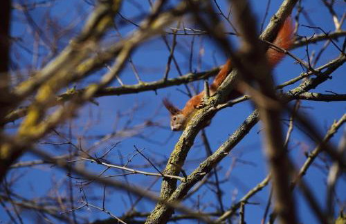 Kopice " Kowalczyk In Nature Parks Blue Velo" - Foto 47