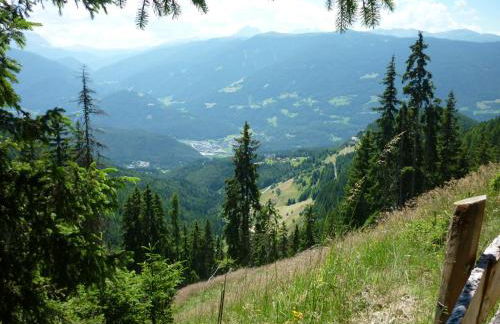 Tötscherhof - Foto 24