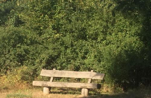 Alte Heimat - Foto 11