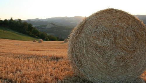 Agriturismo Re Piano - Foto 3