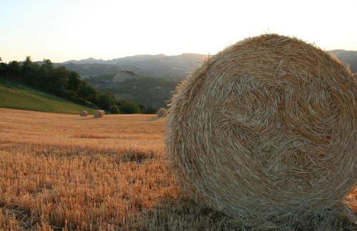 Agriturismo Re Piano - Foto 3