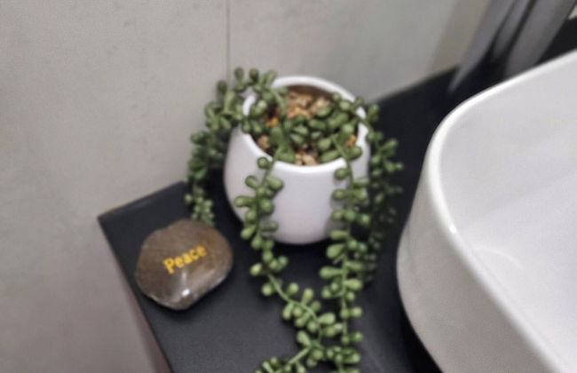 "golden Triangle" Kingston Jamaica, West Indies - Foto 54