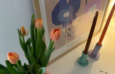 APARTMENT DoEL-parking , 2 minutes to the beach - Foto 12