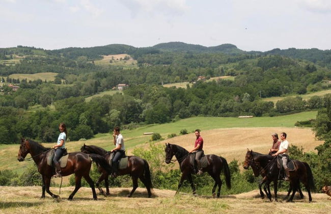 Serene Chianti Retreat - Foto 31