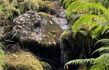 Aveleira EcoCasa - Photo 15