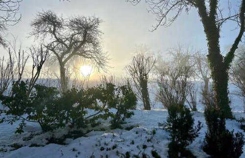 OhPardon! MICHELBACH - Garten & Balkon, Sauna, Netflix - Foto 39