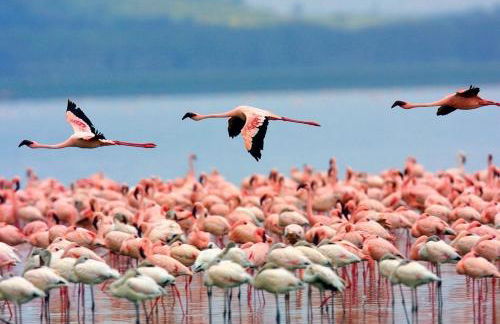 Villa Maria Apartment - Foto 18